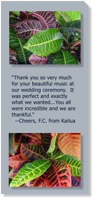 “Thank you so very much for your beautiful music at our wedding ceremony.  It was perfect and exactly what we wanted...You all were incredible and we are thankful.”      --Cheers, F.C. from Kailua